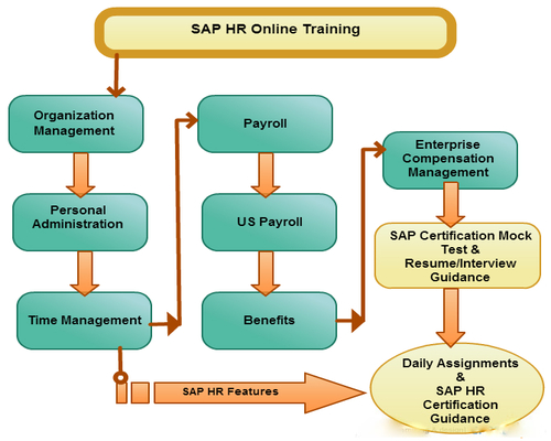 SAP HR US Payroll Online Training