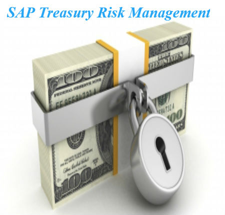 SAP FSCM TREASURY AND RISK MANAGEMENT Online Training